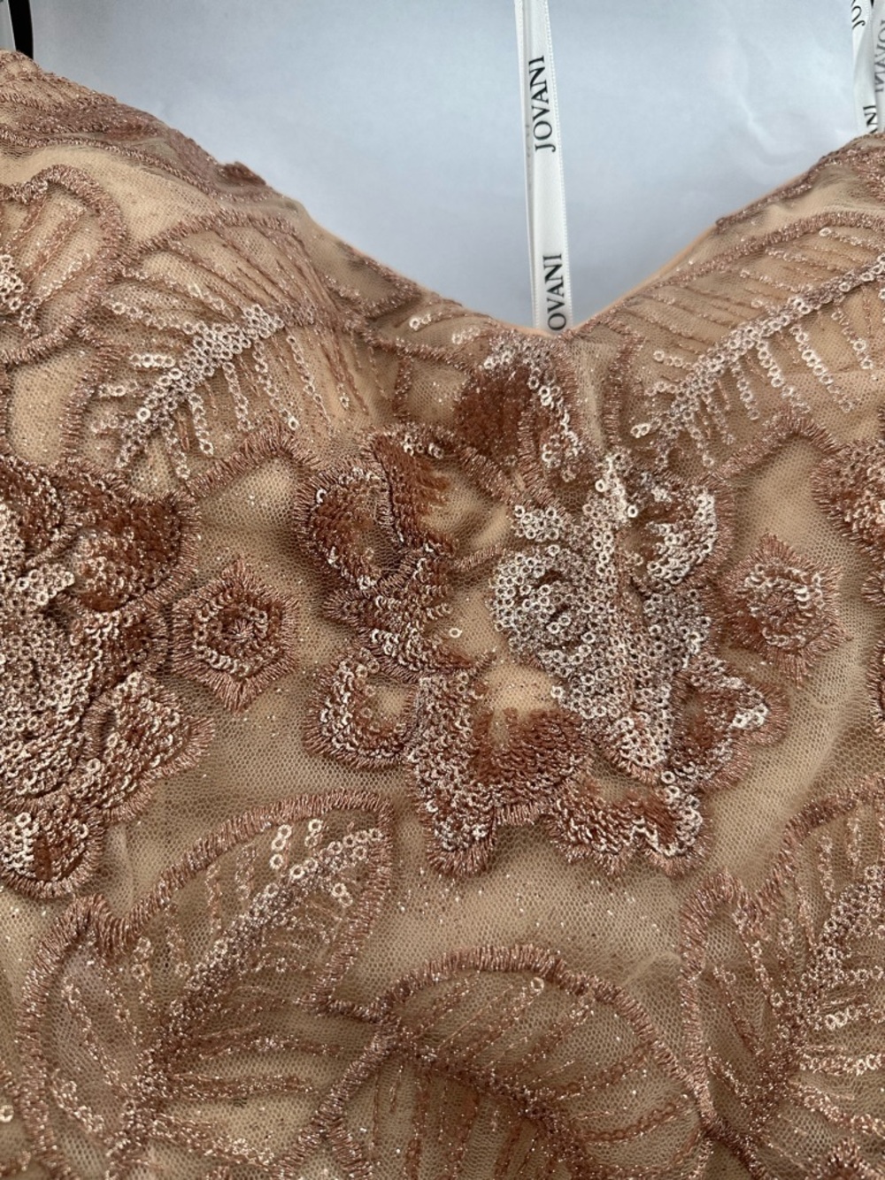 Jovani 67331 Champagne Lace Mermaid Gown – Size 14 - Picture 3 of 6